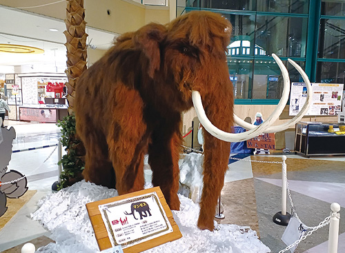 マンモス