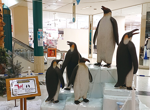 ペンギン