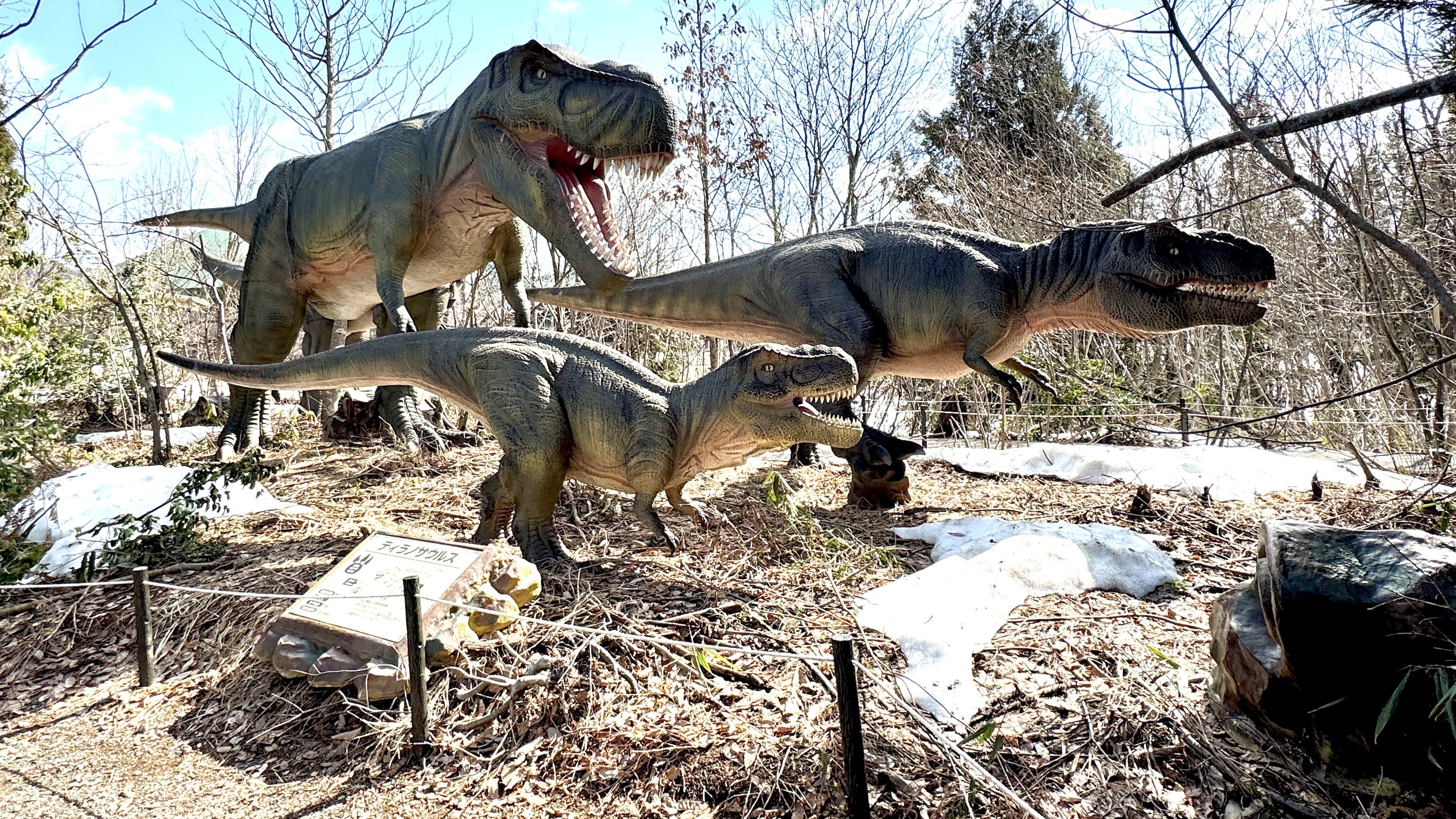 ディノパーク