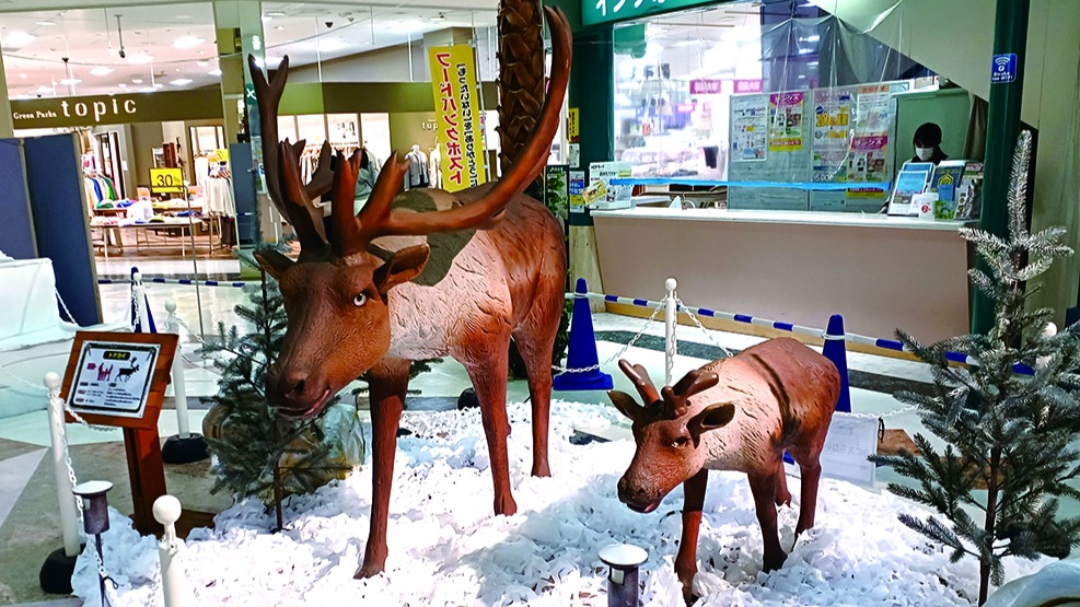 トナカイ親子