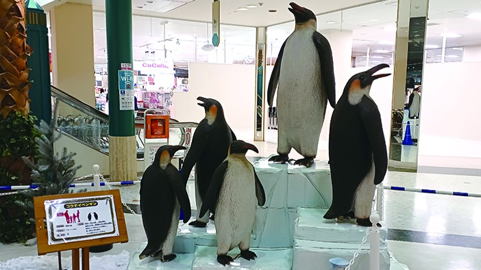 ペンギン