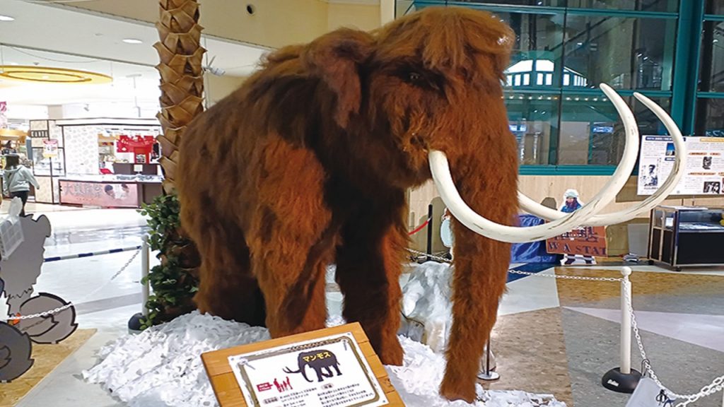 マンモス