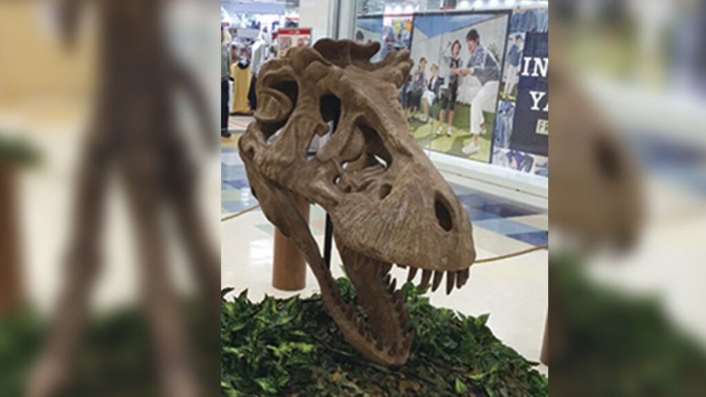 ティラノサウルスの骨格(顔)
