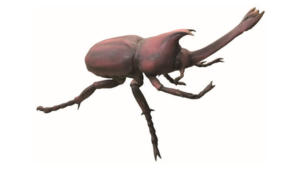 カブトムシ